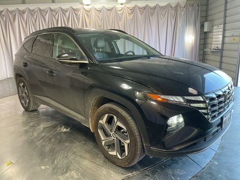 Used 2025 Hyundai Tucson Limited image 4