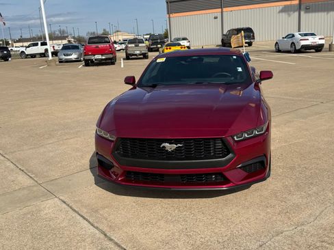 Certified 2025 Ford Mustang Premium image 2