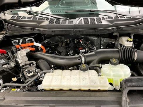 Used 2025 Ford F150 XLT w/ Equipment Group 301A Standard AWD/4WD image 28
