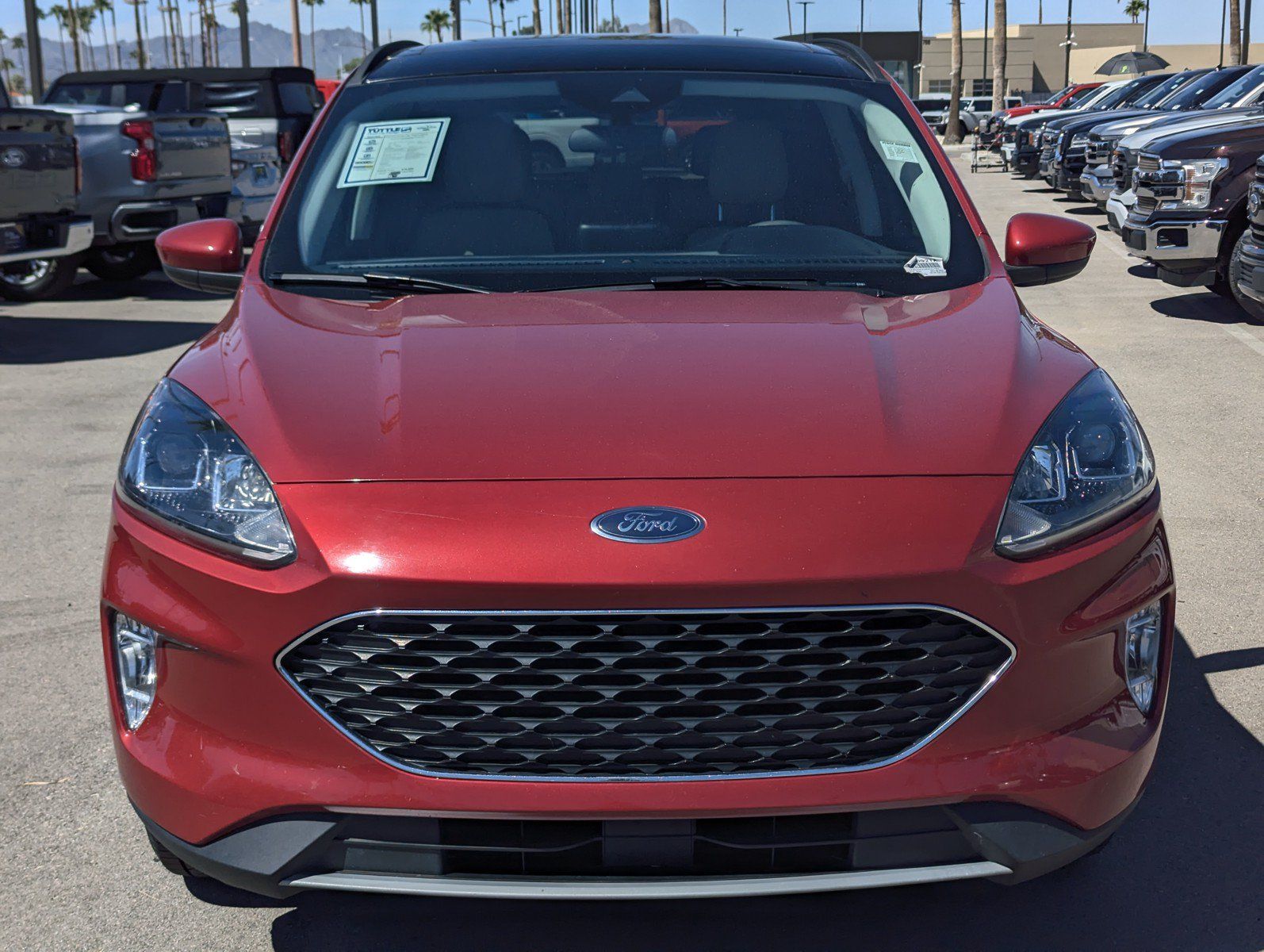 Used 2022 Ford Escape SEL FWD image 6