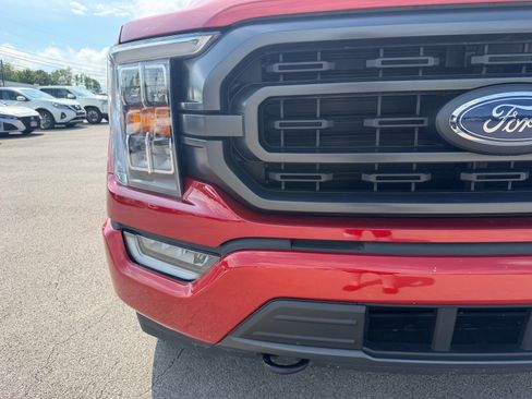 Used 2023 Ford F150 XLT w/ Equipment Group 302A High AWD/4WD image 6