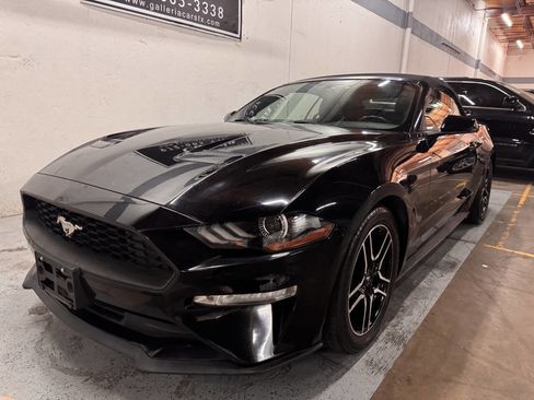 Used 2018 Ford Mustang Premium image 2