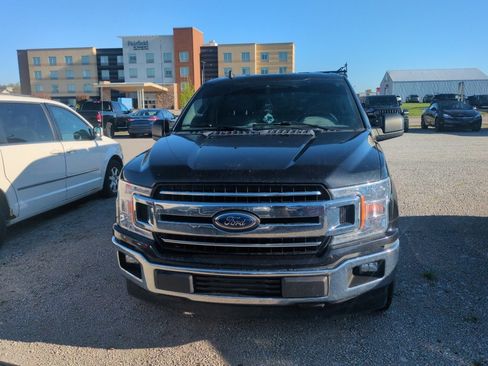 Used 2019 Ford F150 XLT RWD image 3
