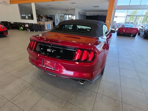 Used 2017 Ford Mustang GT Premium w/ Equipment Group 401A RWD image 8
