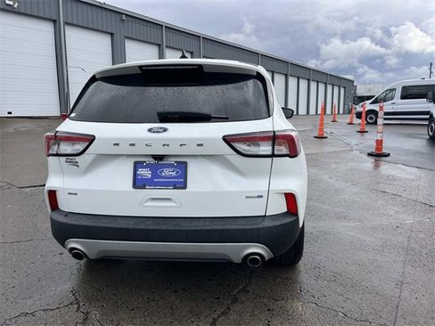 Used 2020 Ford Escape SE image 4
