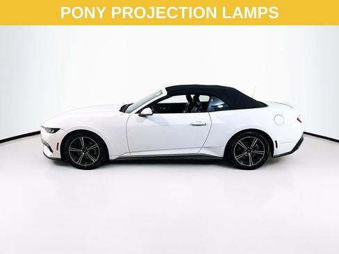 Certified 2024 Ford Mustang Premium image 6