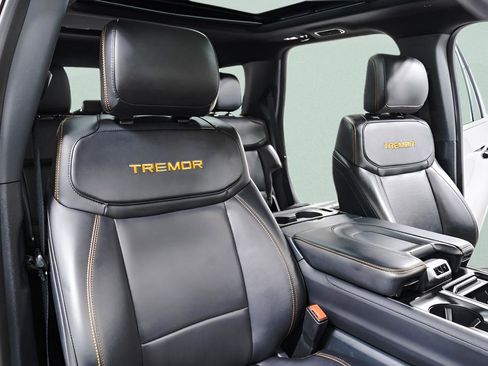 Used 2025 Ford Expedition Tremor AWD/4WD image 38