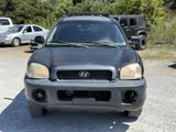 Used 2004 Hyundai Santa Fe GLS image 3