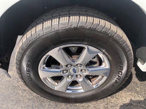 Used 2019 Ford F150 XLT w/ Equipment Group 302A Luxury AWD/4WD image 10