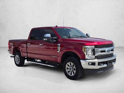 Used 2019 Ford F250 XLT w/ XLT Premium Package AWD/4WD image 3