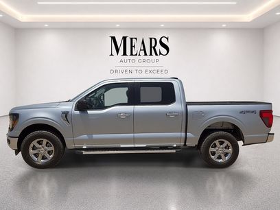 Used 2025 Ford F150 XLT w/ Equipment Group 301A Standard