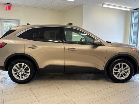 Certified 2020 Ford Escape SE image 3