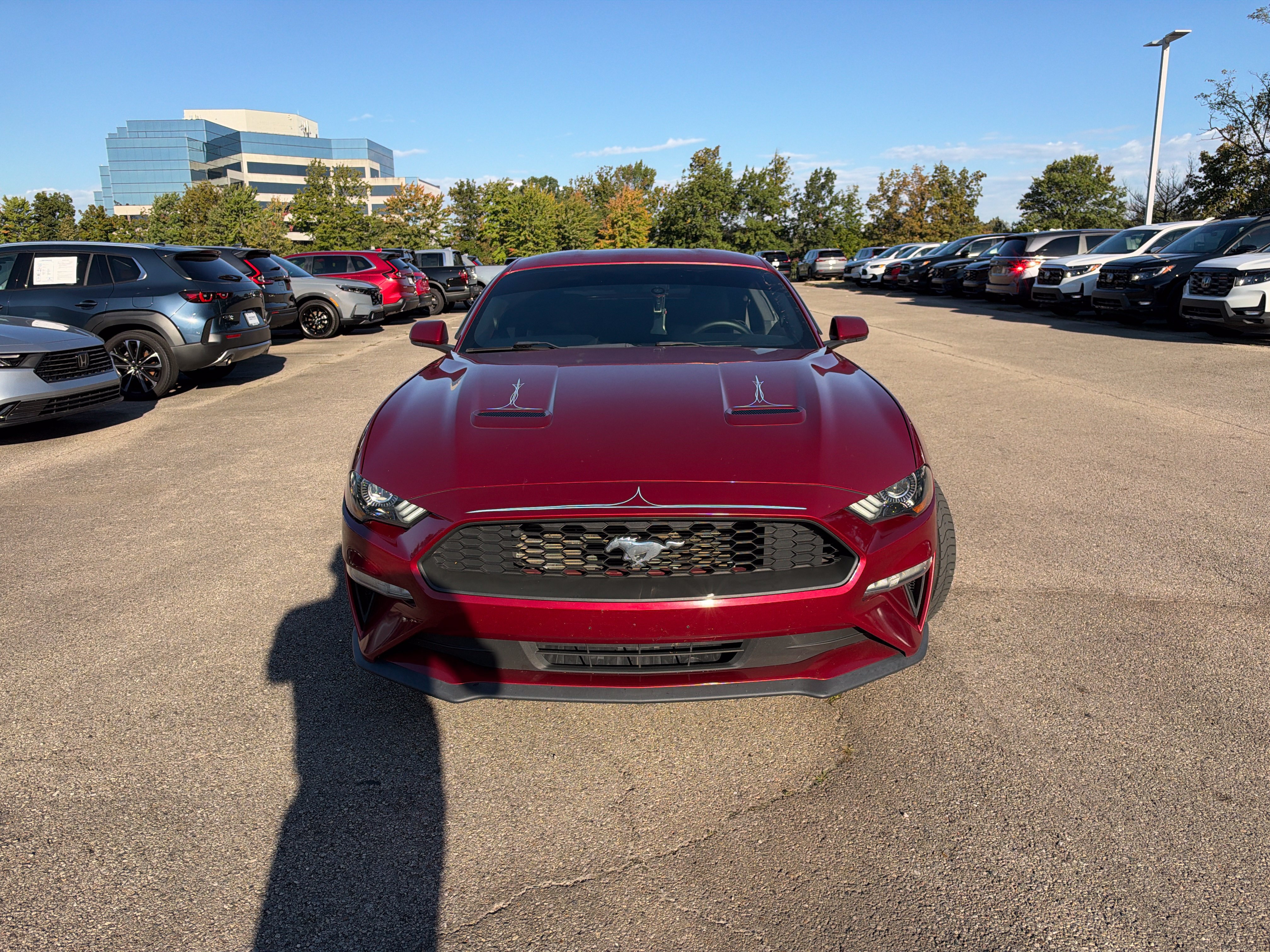 Used 2018 Ford Mustang Coupe w/ Ecoboost Performance Package RWD image 19