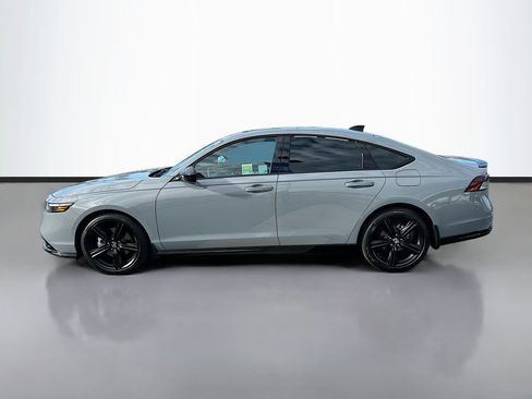 Certified 2026 Honda Accord Sport image 8