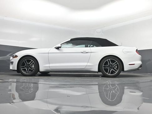 Used 2023 Ford Mustang Premium RWD image 15