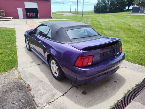 Used 2000 Ford Mustang Convertible RWD image 2
