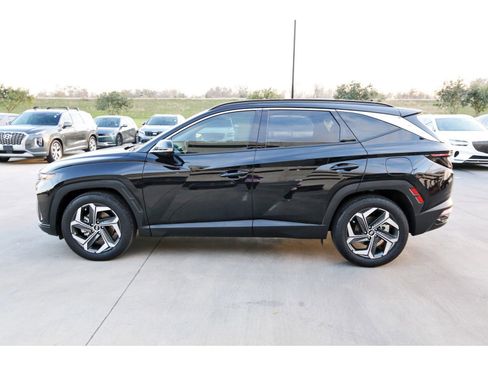 Used 2024 Hyundai Tucson Limited image 5