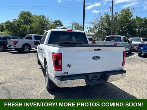 Used 2023 Ford F150 XLT w/ Equipment Group 302A High RWD image 4