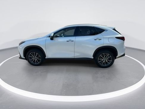 Certified 2024 Lexus NX 250 250 Premium image 5