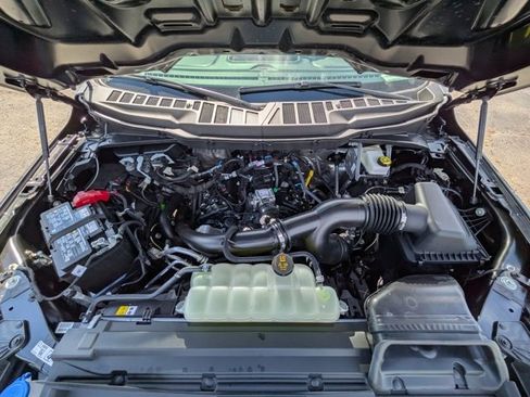 New 2025 Ford F150 STX w/ Equipment Group 200A image 20