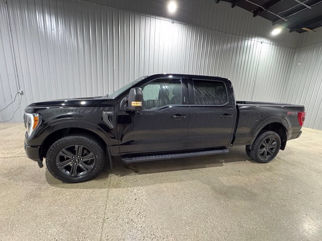 Used 2023 Ford F150 XLT w/ Equipment Group 302A High AWD/4WD image 2