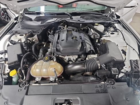 Used 2018 Ford Mustang Premium w/ Equipment Group 201A RWD image 30