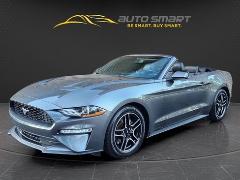 Used 2019 Ford Mustang Premium RWD image 36