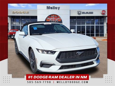 Used 2024 Ford Mustang Premium image 1