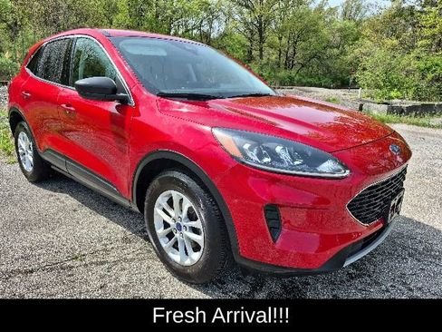 Used 2022 Ford Escape SE w/ Convenience Package AWD/4WD image 6