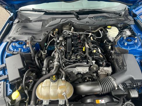 Used 2017 Ford Mustang Coupe RWD image 14