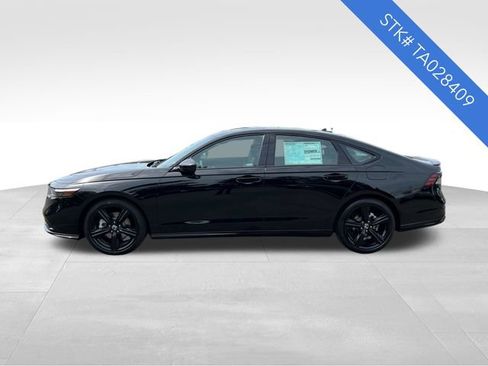 New 2026 Honda Accord Sport image 4
