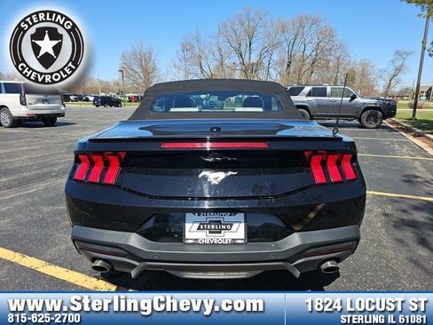 Used 2024 Ford Mustang Premium image 6