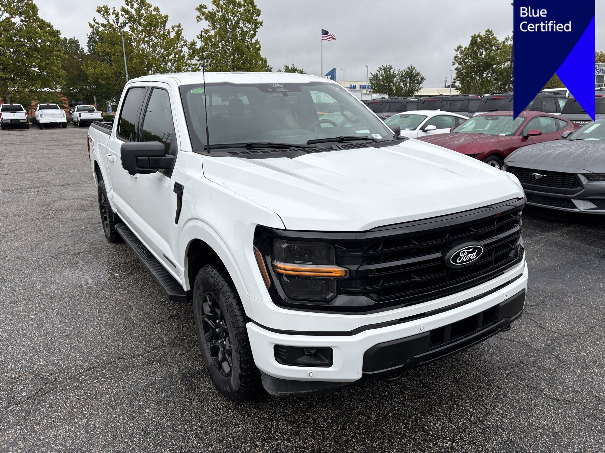 Used 2024 Ford F150 XLT w/ Equipment Group 302A MID AWD/4WD image 3