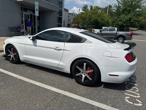 Used 2019 Ford Mustang Coupe w/ Equipment Group 101A RWD image 11