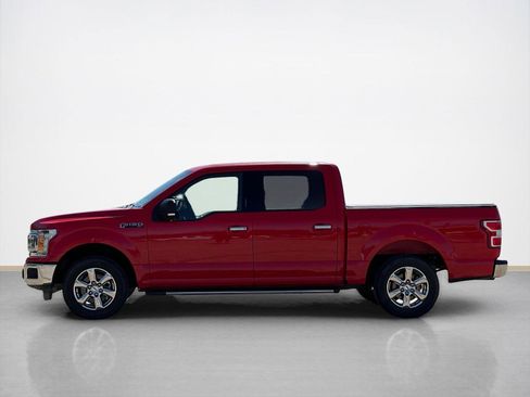 Used 2019 Ford F150 XLT w/ Equipment Group 302A Luxury image 4