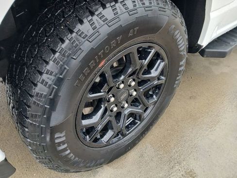 Used 2025 Ford F150 XLT w/ Equipment Group 301A Standard image 34