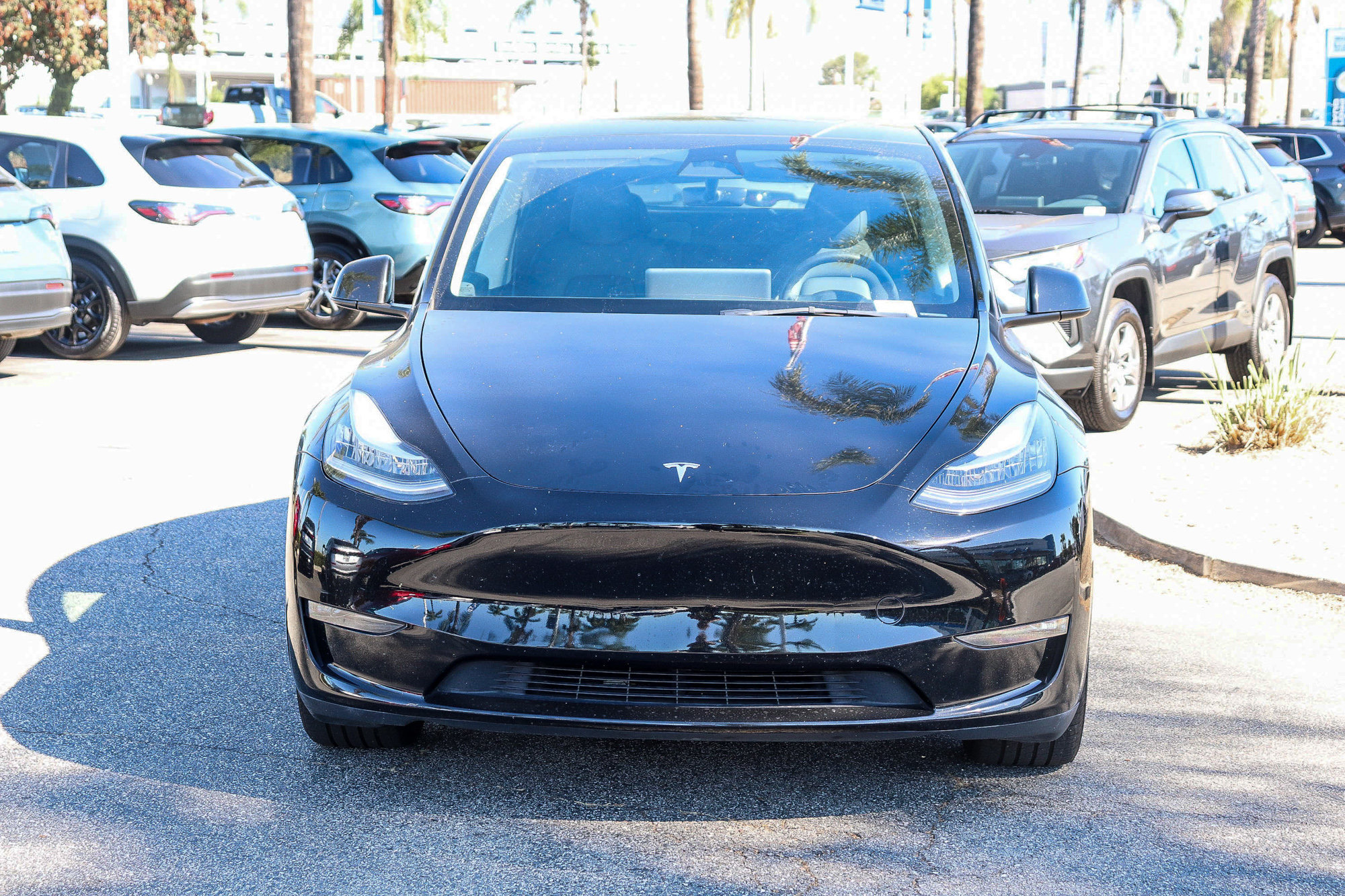 Used 2023 Tesla Model Y Long Range AWD/4WD image 2