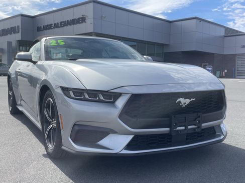 Used 2025 Ford Mustang Premium RWD image 1