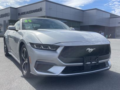 Used 2025 Ford Mustang Premium