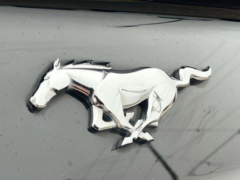 Used 2017 Ford Mustang Premium image 12