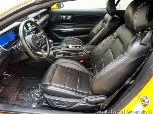 Used 2019 Ford Mustang Premium w/ Equipment Group 201A RWD image 11