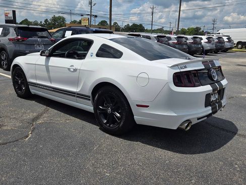 Used 2014 Ford Mustang Premium w/ Equipment Group 201A RWD image 6