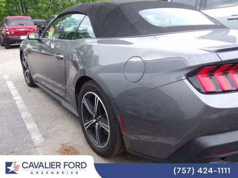 Used 2024 Ford Mustang Premium RWD image 5