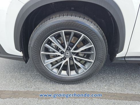 Used 2025 Lexus NX 350h AWD w/ Cold Area Package image 9