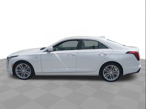 New 2025 Cadillac CT4 Premium Luxury image 6