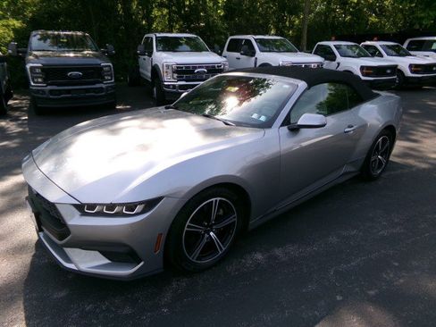 Used 2024 Ford Mustang Premium RWD image 6