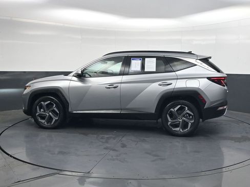 Used 2024 Hyundai Tucson Limited image 6