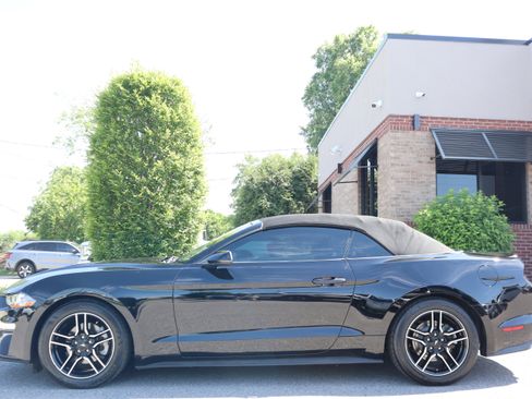 Used 2018 Ford Mustang Premium w/ Equipment Group 201A RWD image 9