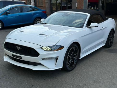 Used 2022 Ford Mustang Premium w/ Equipment Group 201A image 15