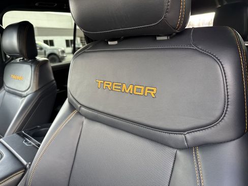 Used 2025 Ford Expedition Tremor image 10